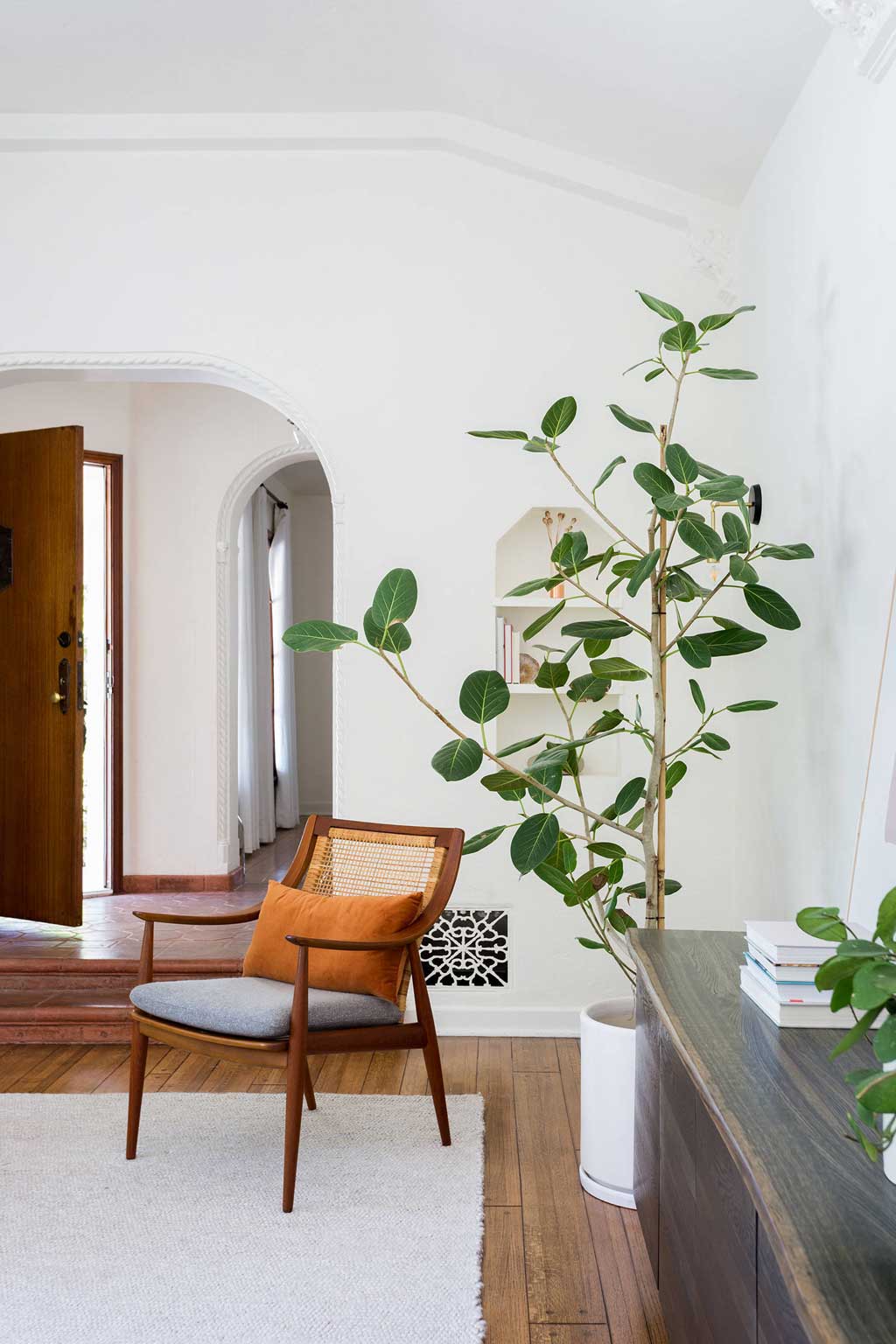Interior Design Trends 2020: Ficus Audrey | foxmarin.ca