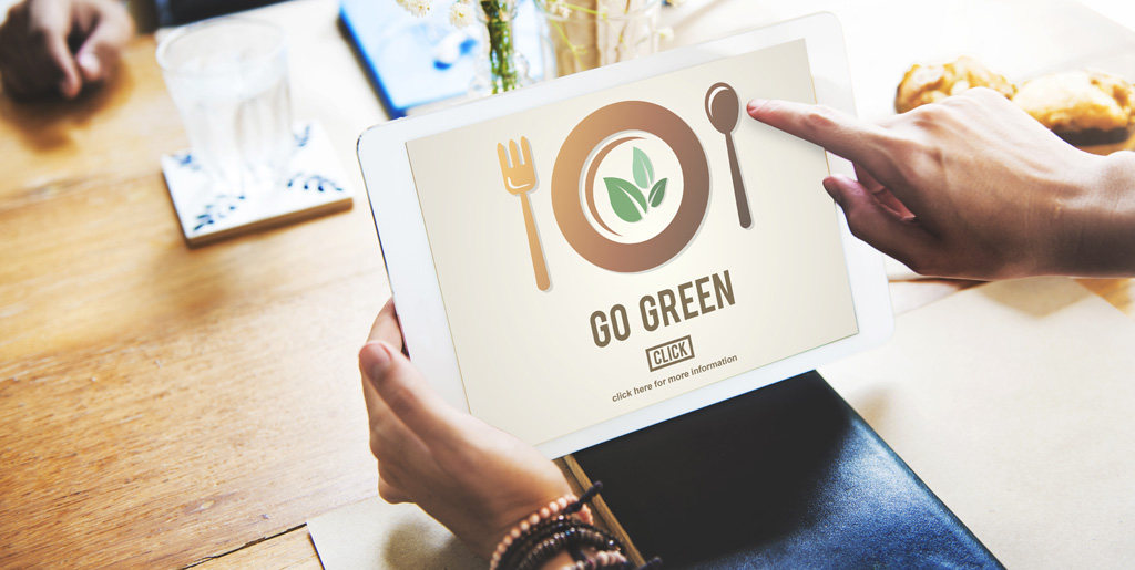 How to Reduce Your Digital Carbon Footprint | foxmarin.ca