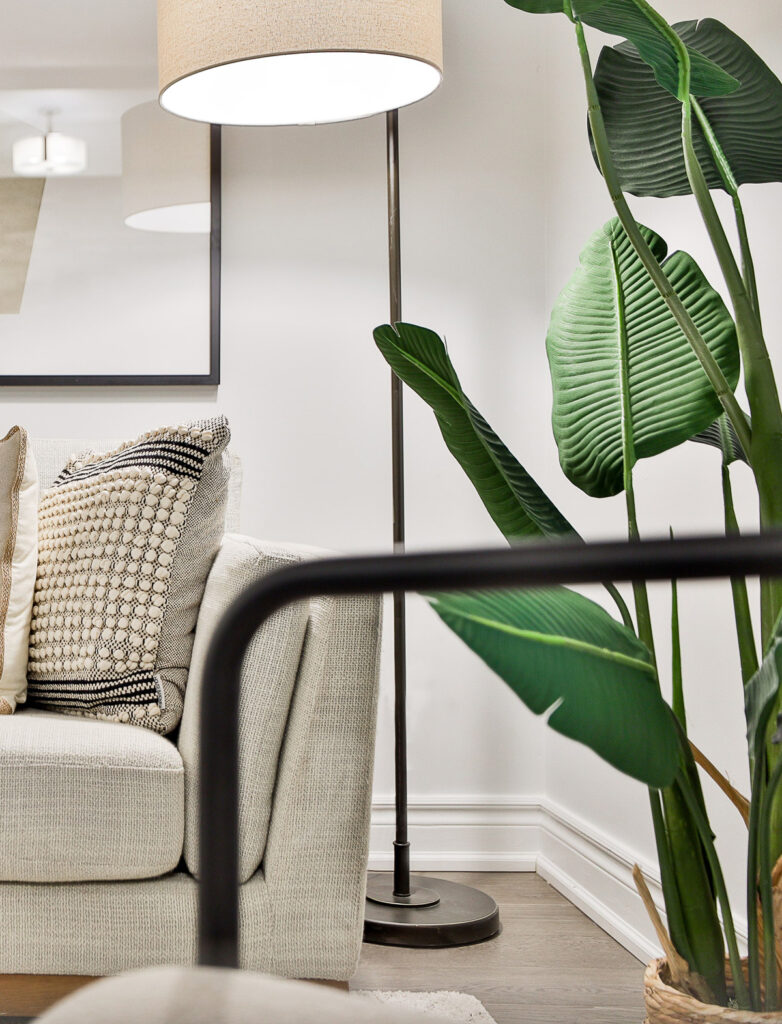 TH5025 Shank Street Fox Marin